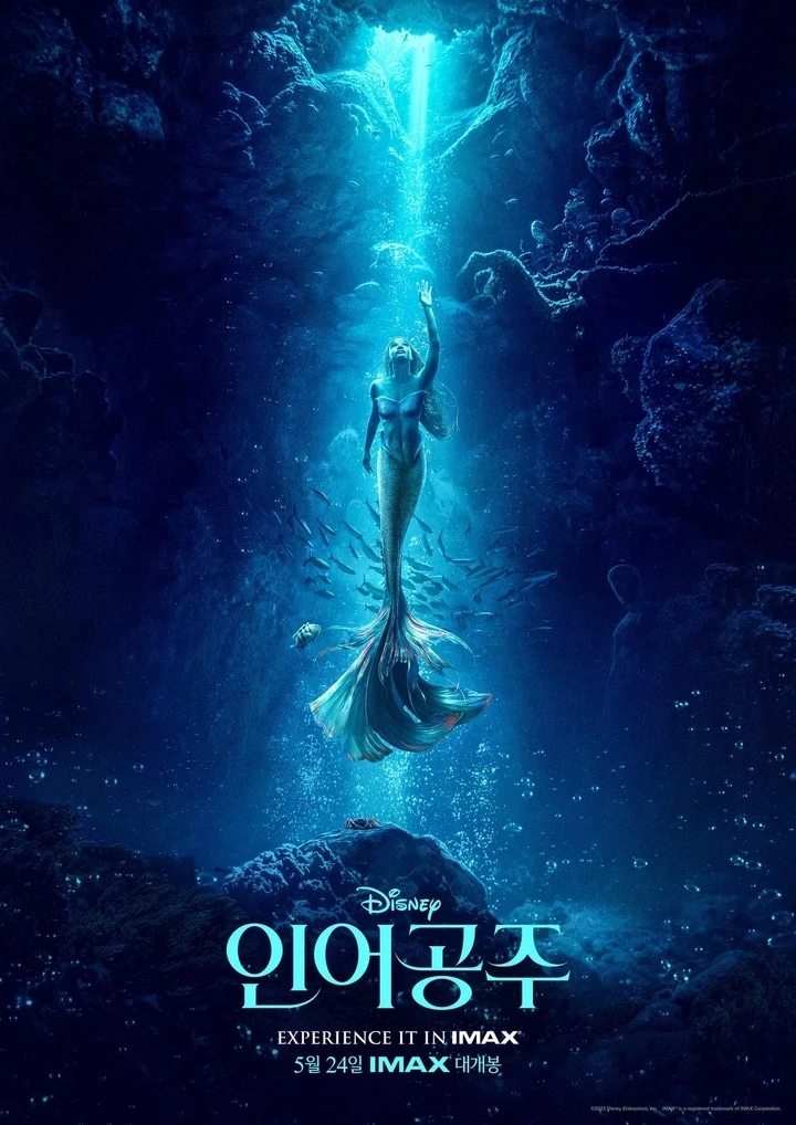 특별 상영관 IMAX 포스터