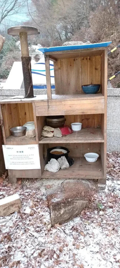 서울대공원 내 길고양이 급식소 / 사진=클리앙