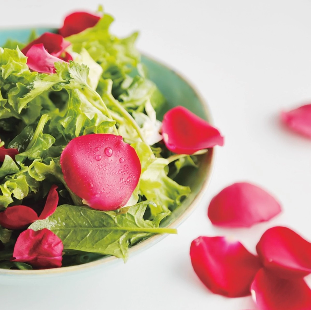 프레시코드 인스타그램에 올라온 샐러드 사진 / 프레시코드 인스타그램