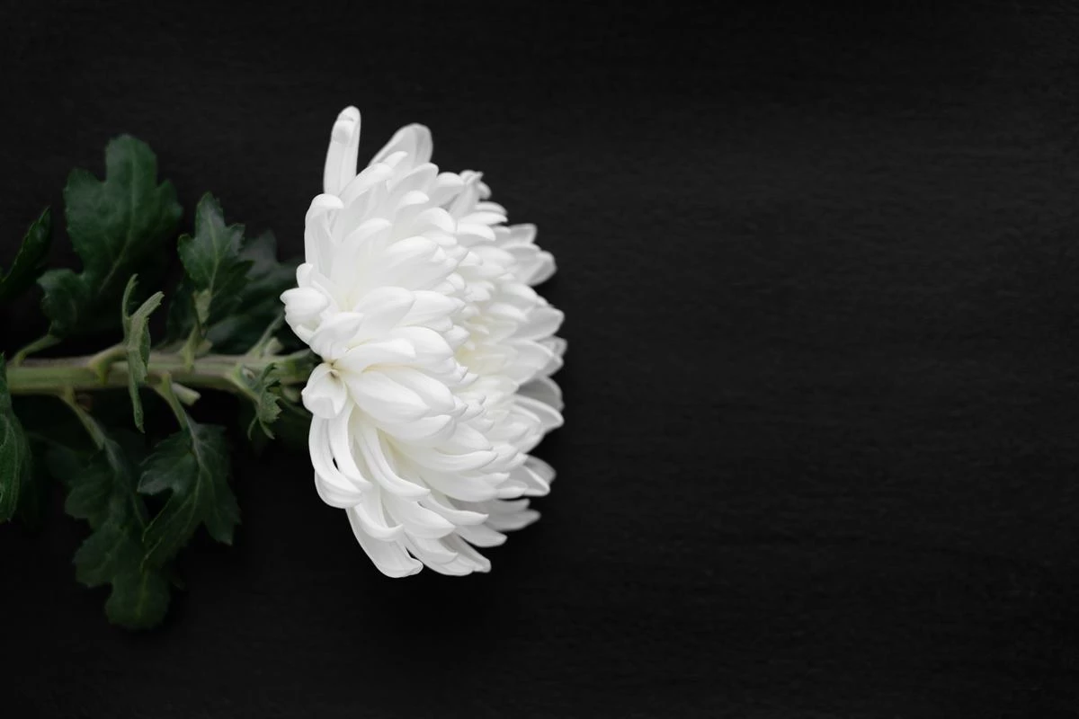 부고 이해를 돕기 위한 자료 사진 / Xiuxia Huang-Shutterstock.com