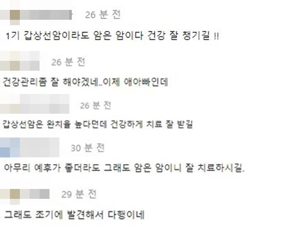공혁준의 암 투병 소식을 접한 누리꾼들이 쾌유를 빌고 있다. / 온라인 커뮤니티 '에펨코리아' 댓글 창