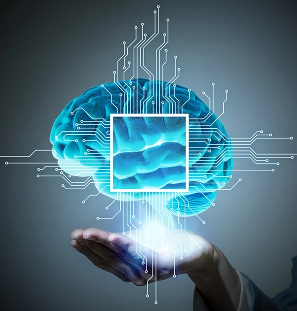인공지능 뇌 이미지 /metamorworks-shutterstock.com