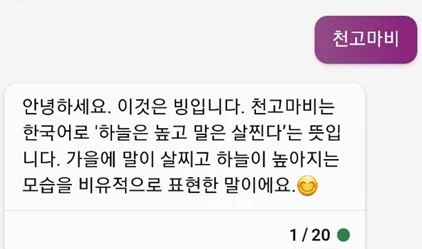 천고마비에 대한 빙의 답변이다. / Bing.