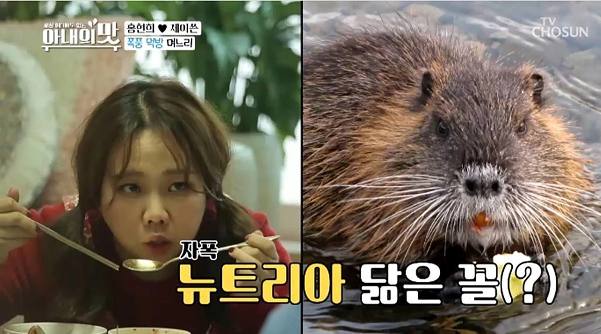 TV조선 '아내의 맛'