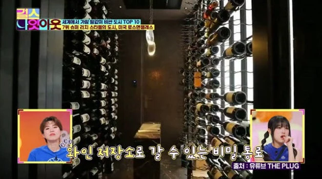 와인 저장소로 갈 수 있는 비밀 통로 엘레베이터가 집 안 내부에 있는 방시혁 집.