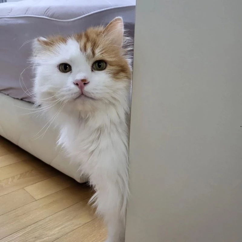 단이는 현재 3세다.