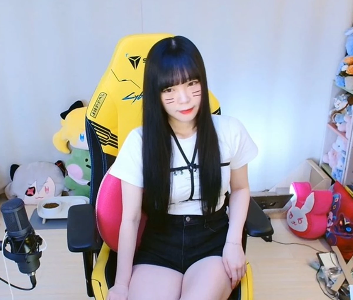 트위치 스트리머 서새봄