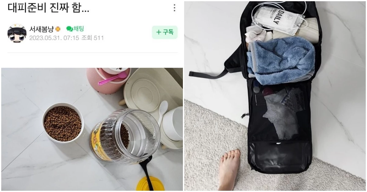 위급재난문자 받고 대피 준비한 서새봄 / 이하 서새봄 팬카페, 인벤 글 캡처.