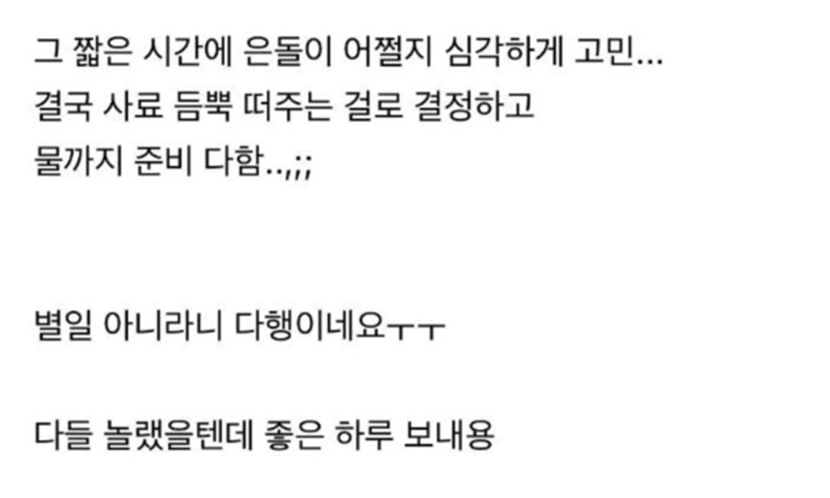 서새봄이 올린 글