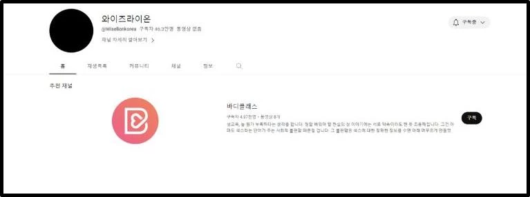 기존의 오구라 유나 유튜브 채널 / 유튜브 '와이즈라이온'