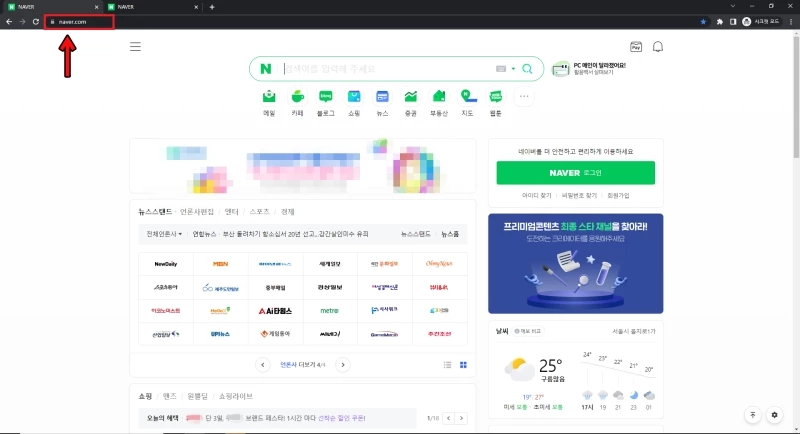 실제 네이버의 도메인 주소는 'www.naver.com'이다.