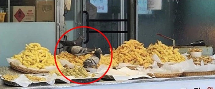 소래포구 한 식당 모습  / 디시인사이드 갤러리