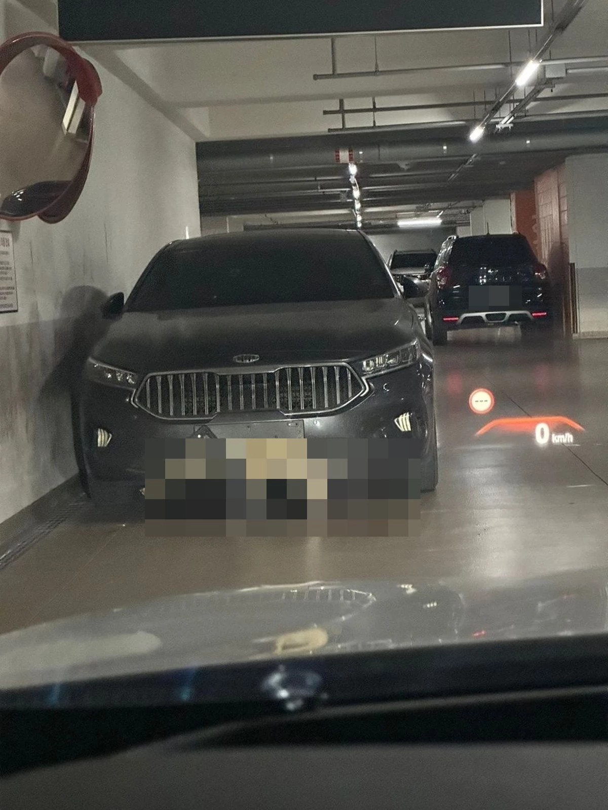 이하 차량 앞 범퍼에 끼인 고라니 사체 / 이하 아카라이브