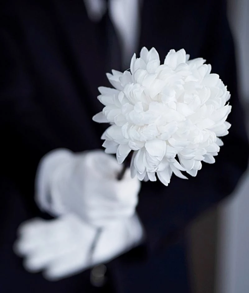 추모 관련 자료 사진. / shinsangeun-shutterstock.com