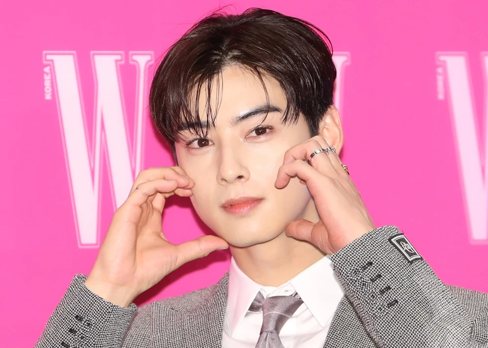 cha eunwoo / NEWS1
