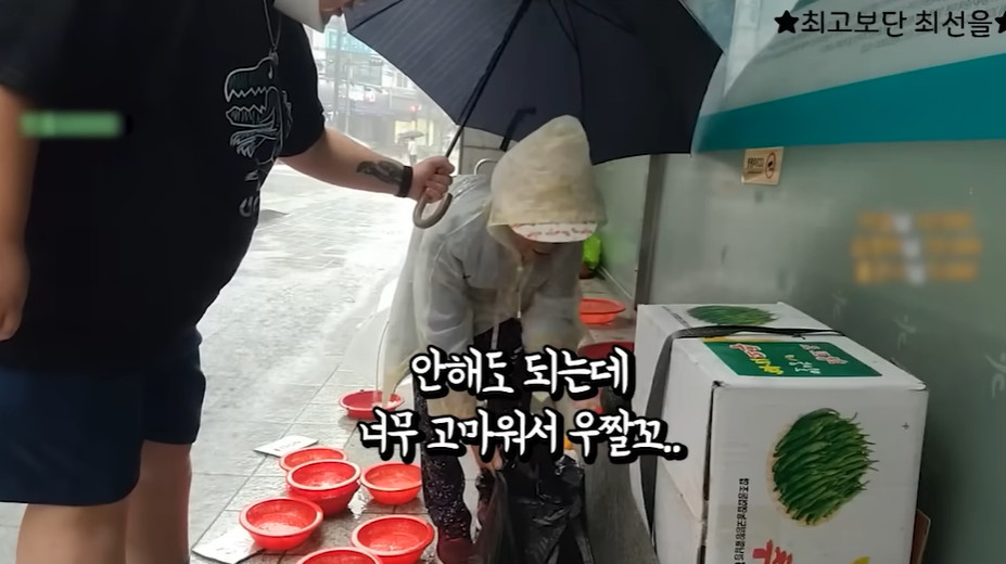 야채를 전부 사들인 양양이와 고마움 드러내는 할머니