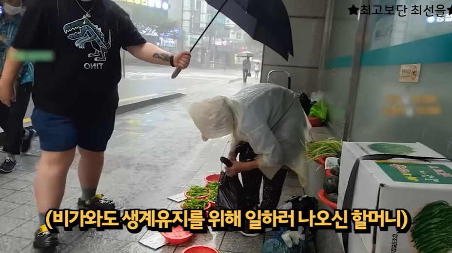 할머니 우산 씌워드리는 양양이