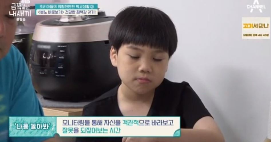 이하 채널A '금쪽같은 내새기'