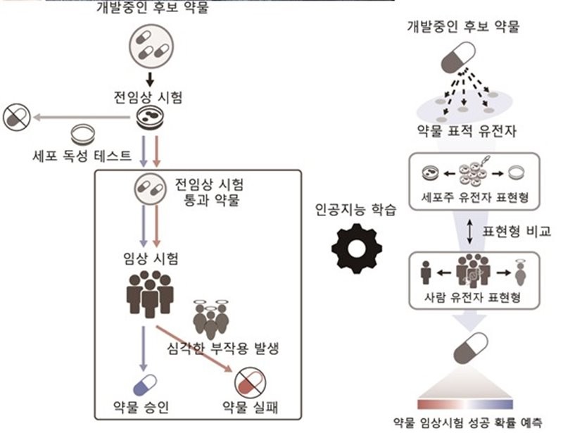 신약 개발 과정 비교 (좌) 기존 / (우) 인공지능 학습을 통한 약물 승인 가능성 예측 / POSTECH 제공
