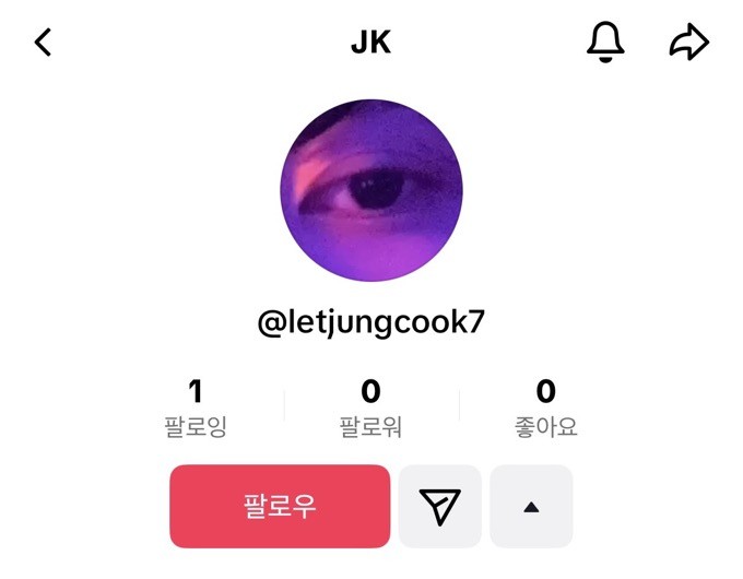 정국의 틱톡 계정