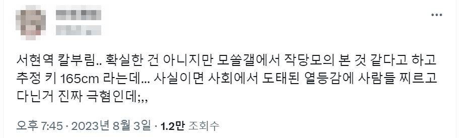 서현역 칼부림 사건 관련 게시글