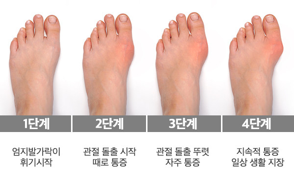 셔터스톡