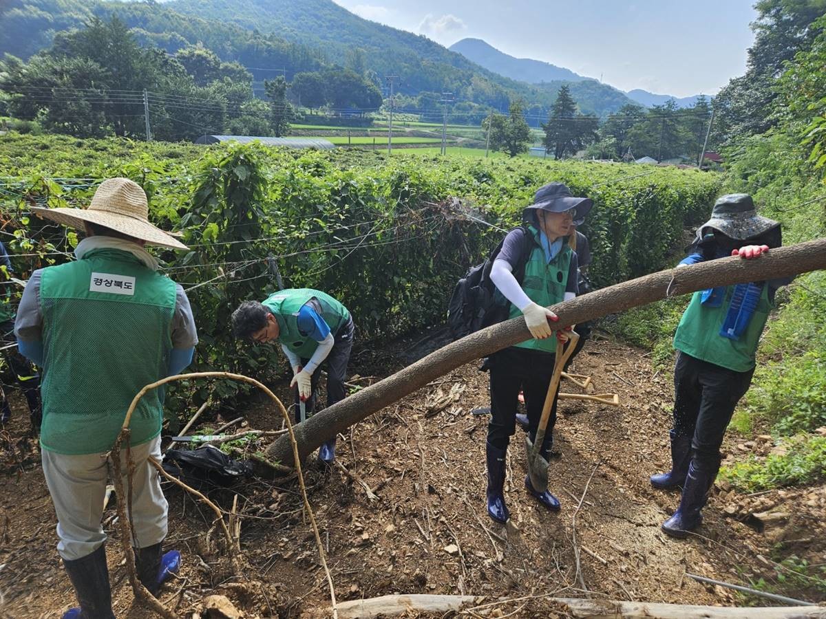 경북도청 간부들의 수해복구 지원 모습