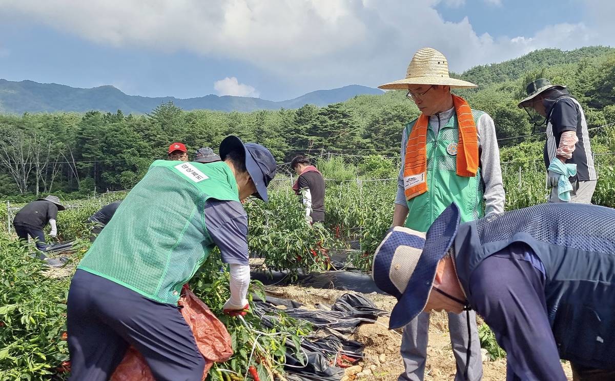 수해복구 현장의 이철우 도지사