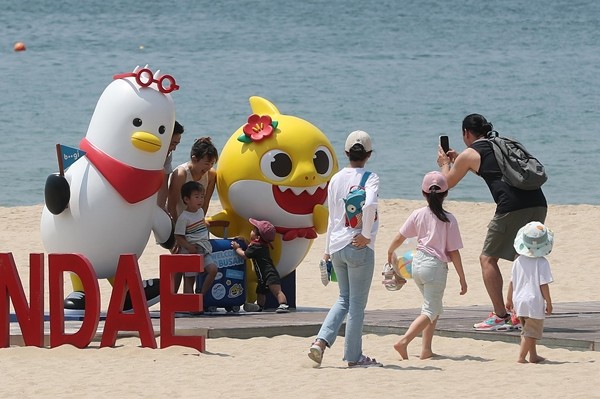 부산 해운대에 등장한 아기상어 / 뉴스1