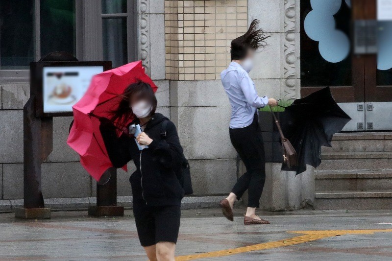 태풍 속 출근하는 직장인의 모습. 제9호 태풍 '마이삭(MAYSAK)'이 북상한 2020년 9월 3일 오전 서울 세종대로 광화문광장 인근에서 촬영된 사진이다. 기사 이해를 돕기 위한 이미지 /     뉴스1