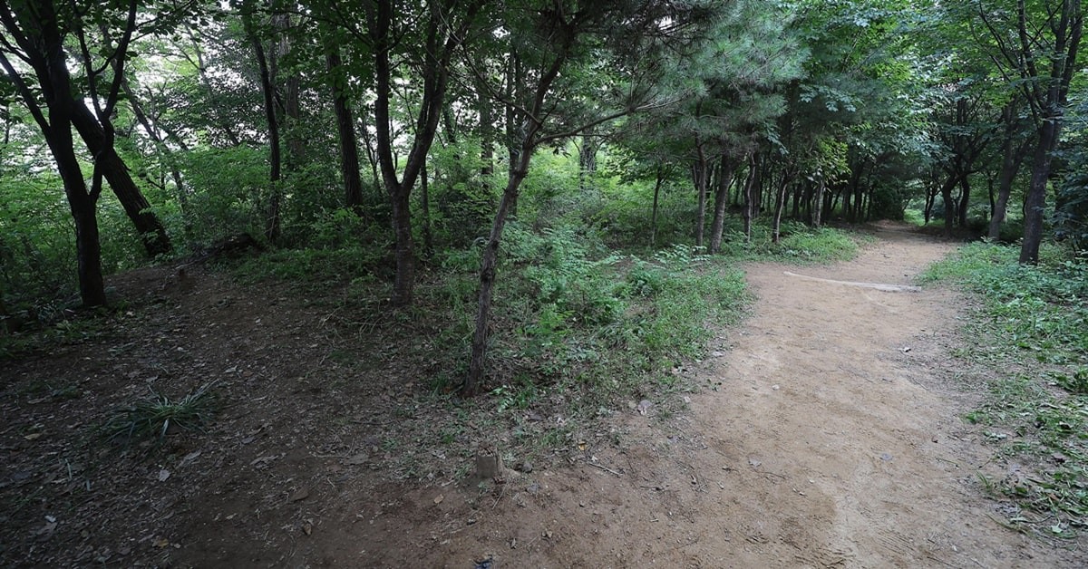 지난 17일 서울 관악구 신림동의 한 산속 둘레길에서 성폭행 사건이 발생했다. 사진은 사건현장의 모습 / 뉴스1