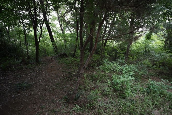 지난 17일 서울 관악구 신림동의 한 산속 둘레길에서 성폭행 사건이 발생했다. 사진은 사건현장의 모습