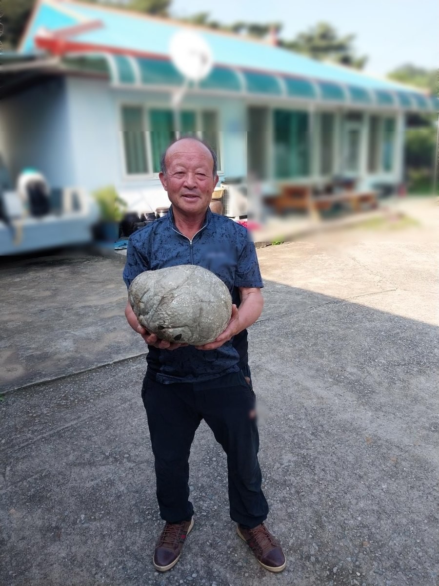 지난 5일 충남 홍성군 금마면 화양리 일대 한 야산에 벌초하러 간 주민 서기석 씨가 산에서 발견한 댕구알버섯을 들고 있다. / 이하 연합뉴스-홍성군 제공