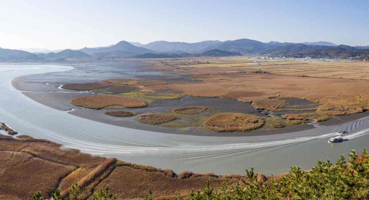 순천만 전경. / Stock for you-shutterstock.com