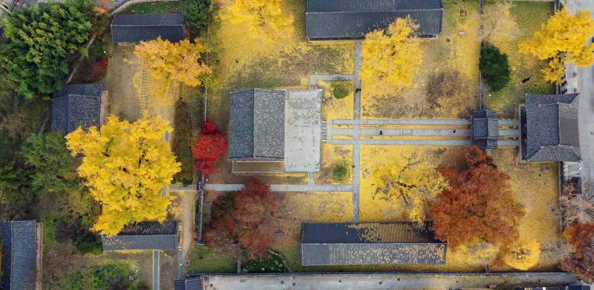 전주 한옥마을 가을 풍경. / Yeongsik Im-shutterstock.com