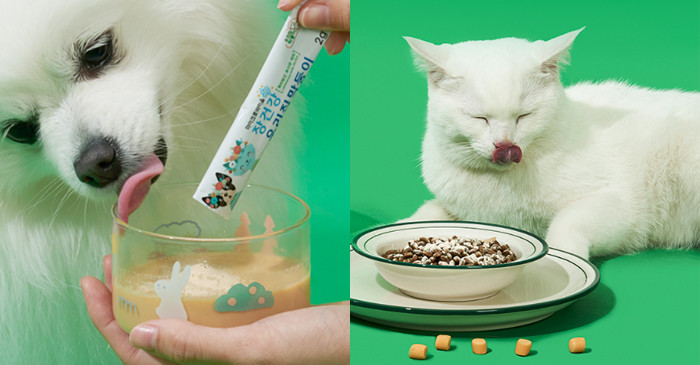 이하 소셜홀딩스