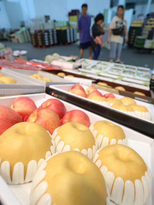 추석 명절을 열흘 앞둔 18일 오후 경기 수원시 권선구 수원농수산물도매시장 과일동에서 시민들이 과일을 둘러보고 있다. / 뉴스1