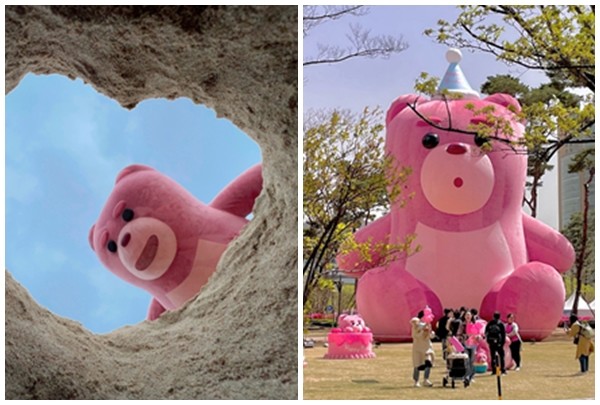 벨리곰 공식계정 제공