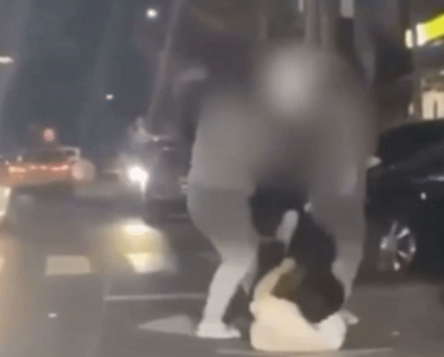 보배드림에 게재된 영상 캡처 / 보배드림