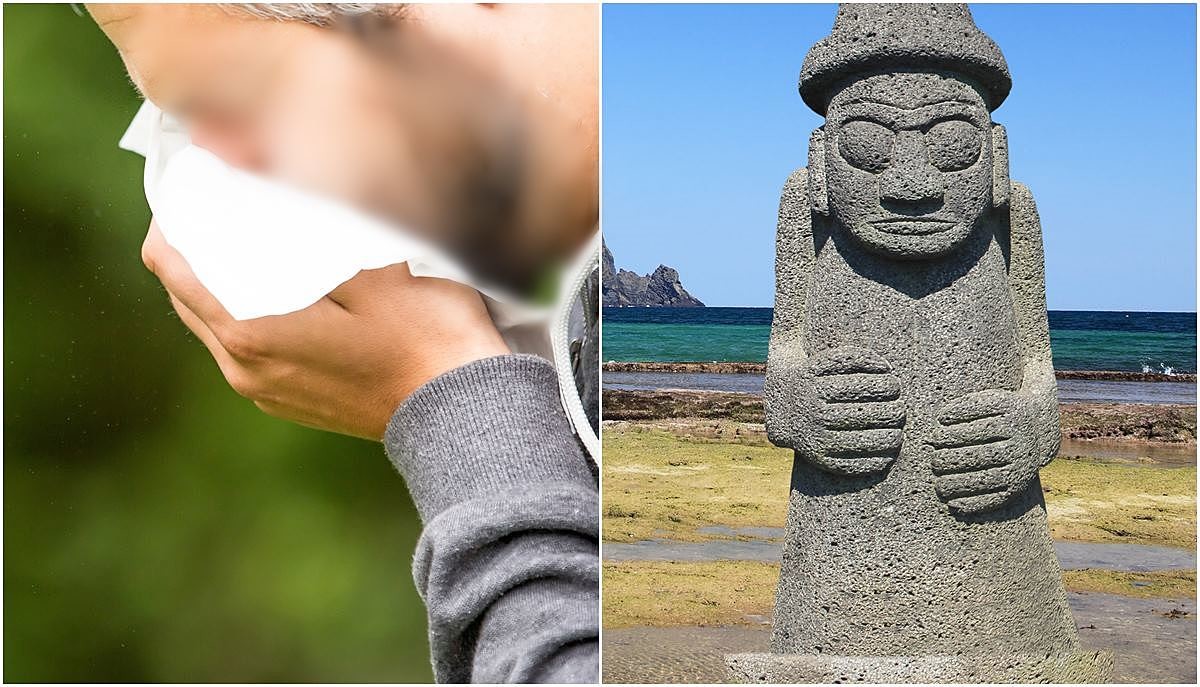 재채기하는 남성, 제주도 돌하르방 자료 사진 / Johnathan21, Robert Kneschke-shutterstock.com