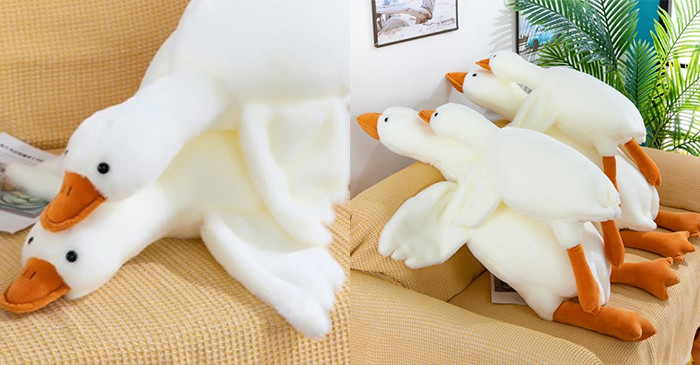 이하 소셜홀딩스