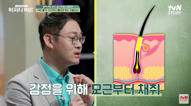 마약 검사를 위한 모발 채취에 대해 설명하는 배한진 변호사 / tvN '어쩌다 어른'