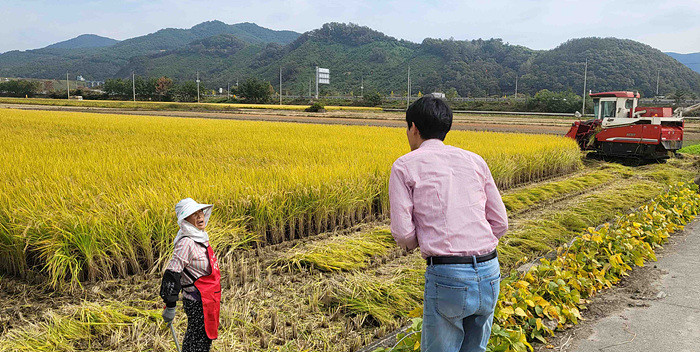 장성군이 벼 수확시기에 맞춰 27일까지 현장기술지원단을 운영한다.