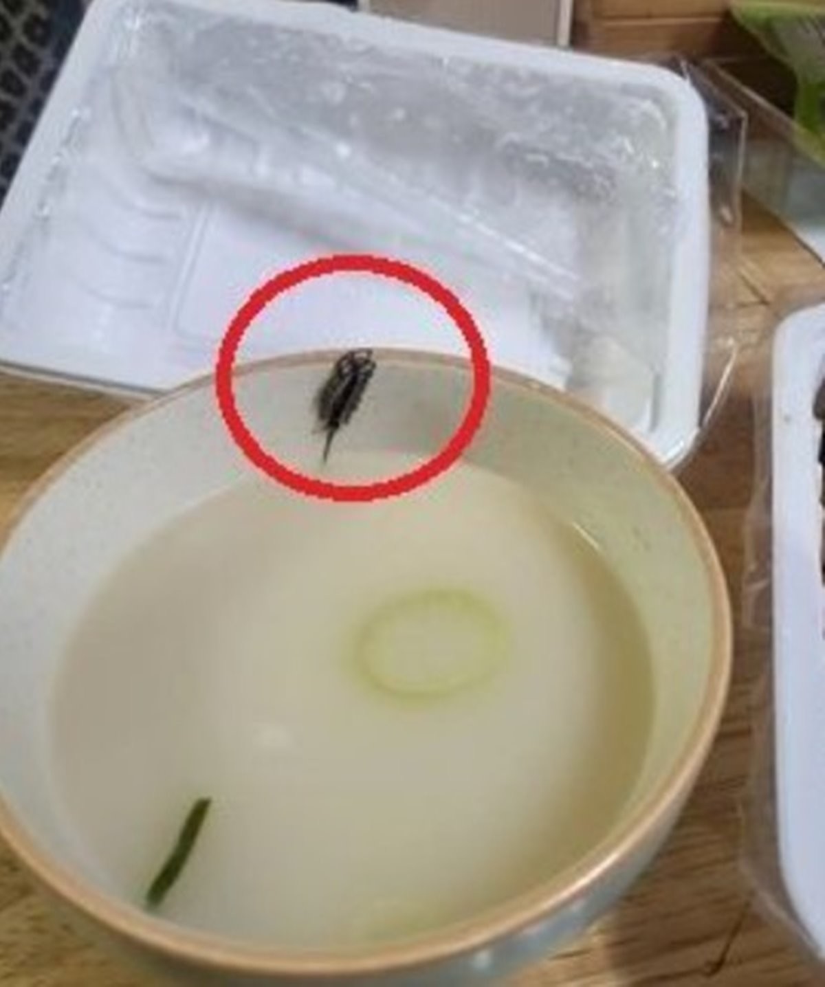 사진에는 돈벌레(그리마)로 추정되는 검은색 벌레가 죽은 채 그릇에 붙어있었다. / 온라인 커뮤니티 '아프니까 사장이다'