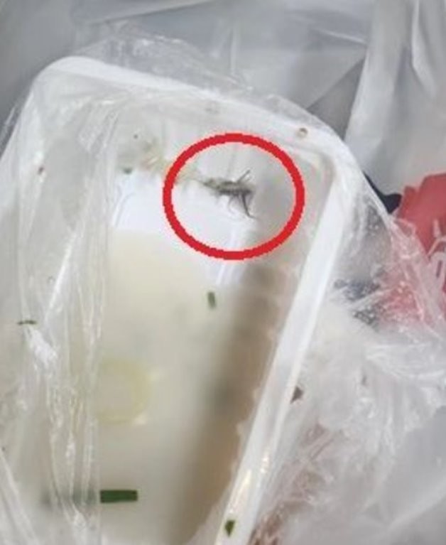 수거해 온 음식을 확인해 보니 말도 안 되게 큰 벌레가 들어가 있었다고 사장이 호소했다. / 온라인 커뮤니티 '아프니까 사장이다'
