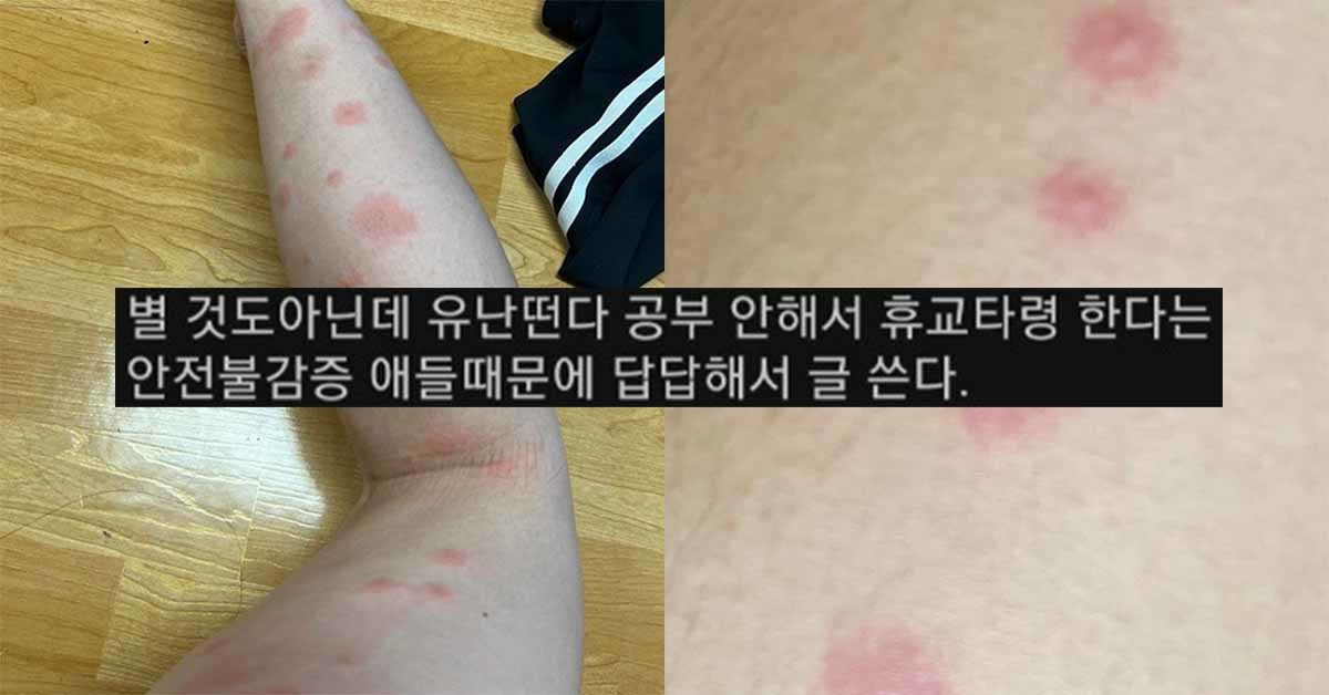 기숙사에서 생활하는 계명대 학생들이 에브리타임에 올린 게시물을 합해서 만든 사진.