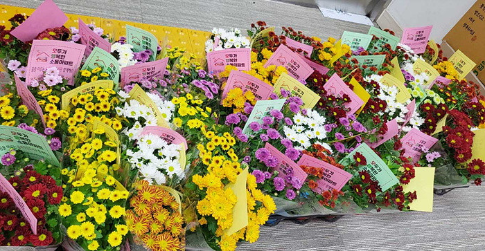 광주용산LH1단지,“사랑·나눔·행복DAY 반려식물나눔행사” 주민들 큰 호응