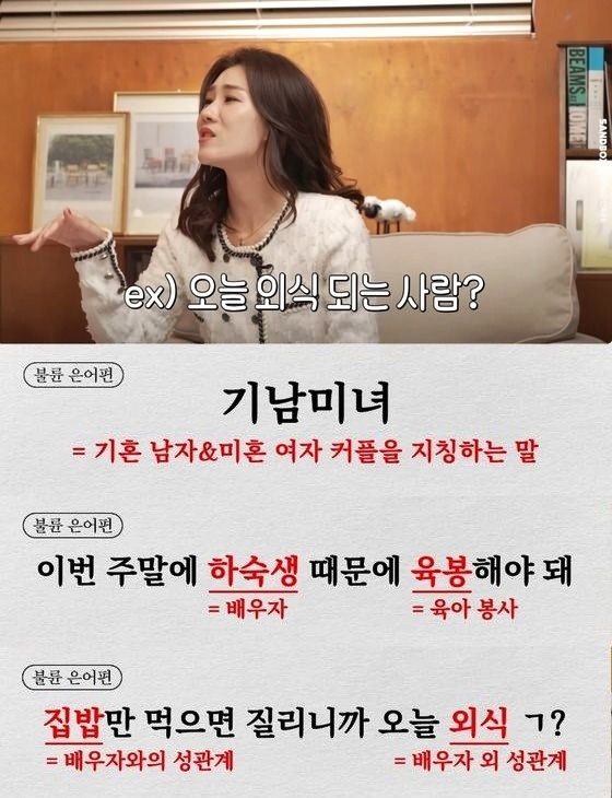 불륜 은어를 설명하는 양나래 이혼 전문 변호사 / 유튜브 '양브로의 정신세계'