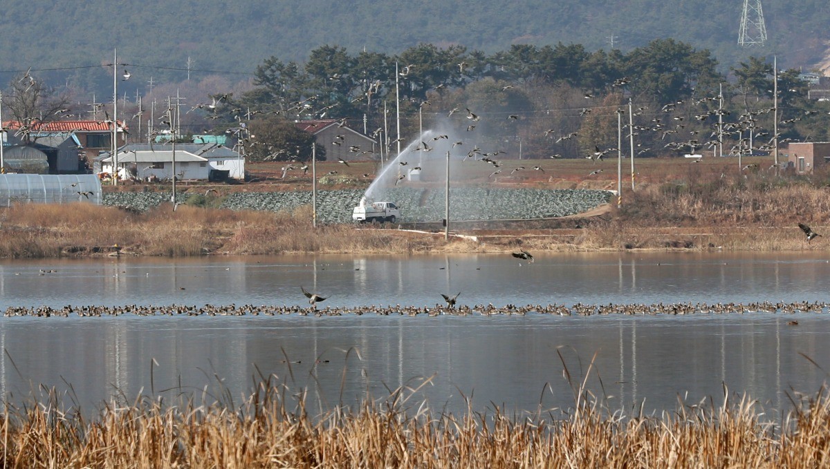 충남 서산시 저수지 자료 사진 / 뉴스1