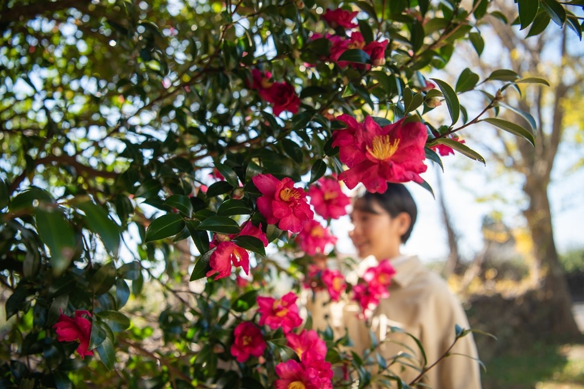 신흥2리동백마을 자료 사진 / 제주관광공사 제공